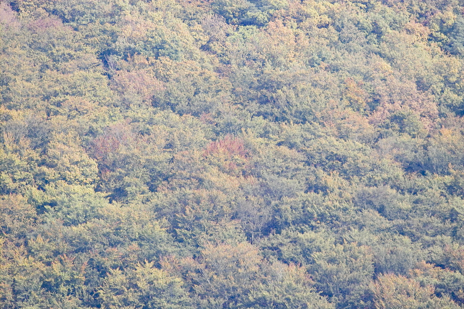 Edersee 10 2007img04140