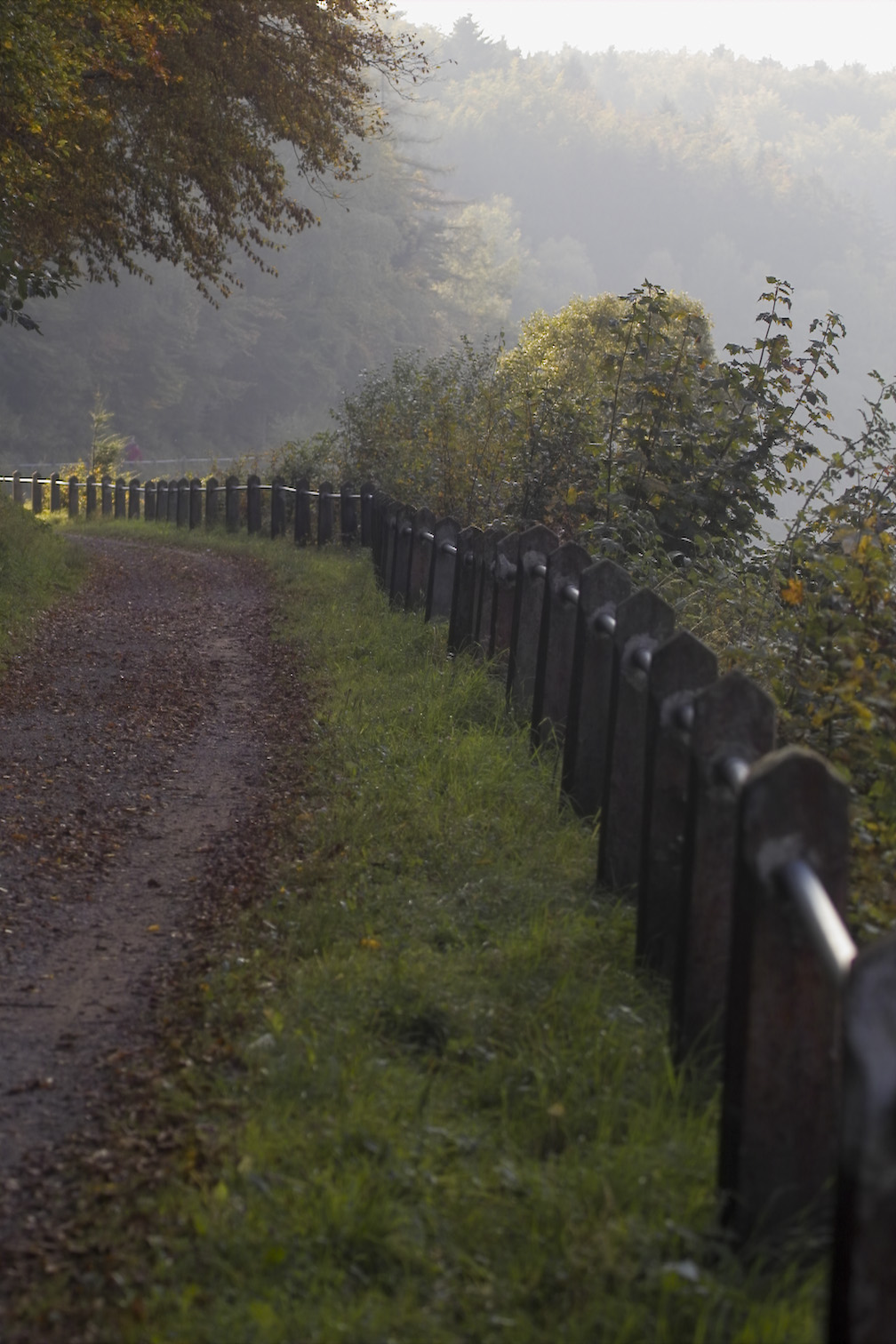 Edersee 10 2007img04152