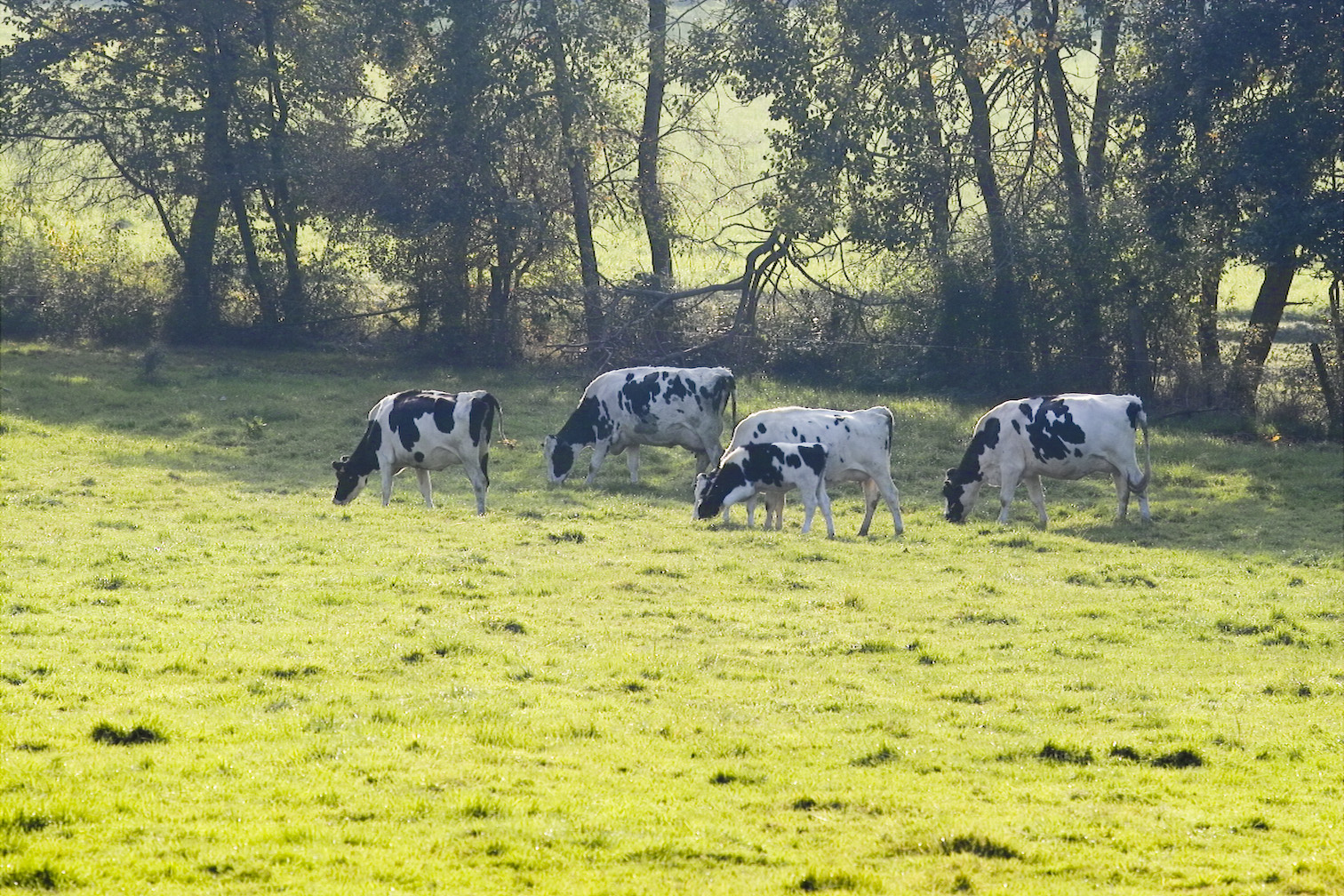 Edersee 10 2007img04158
