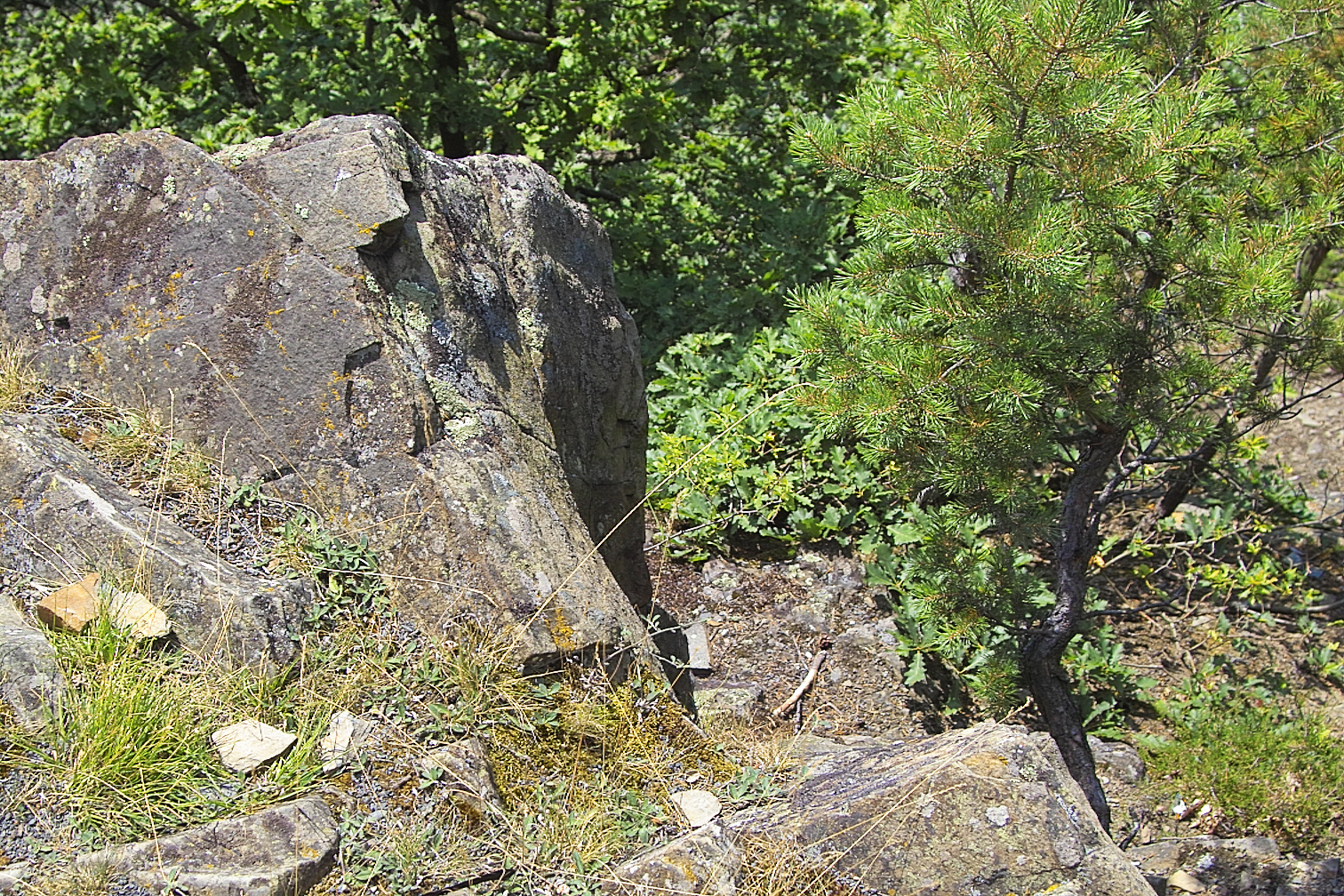 Ederseefotos 2005 img02291