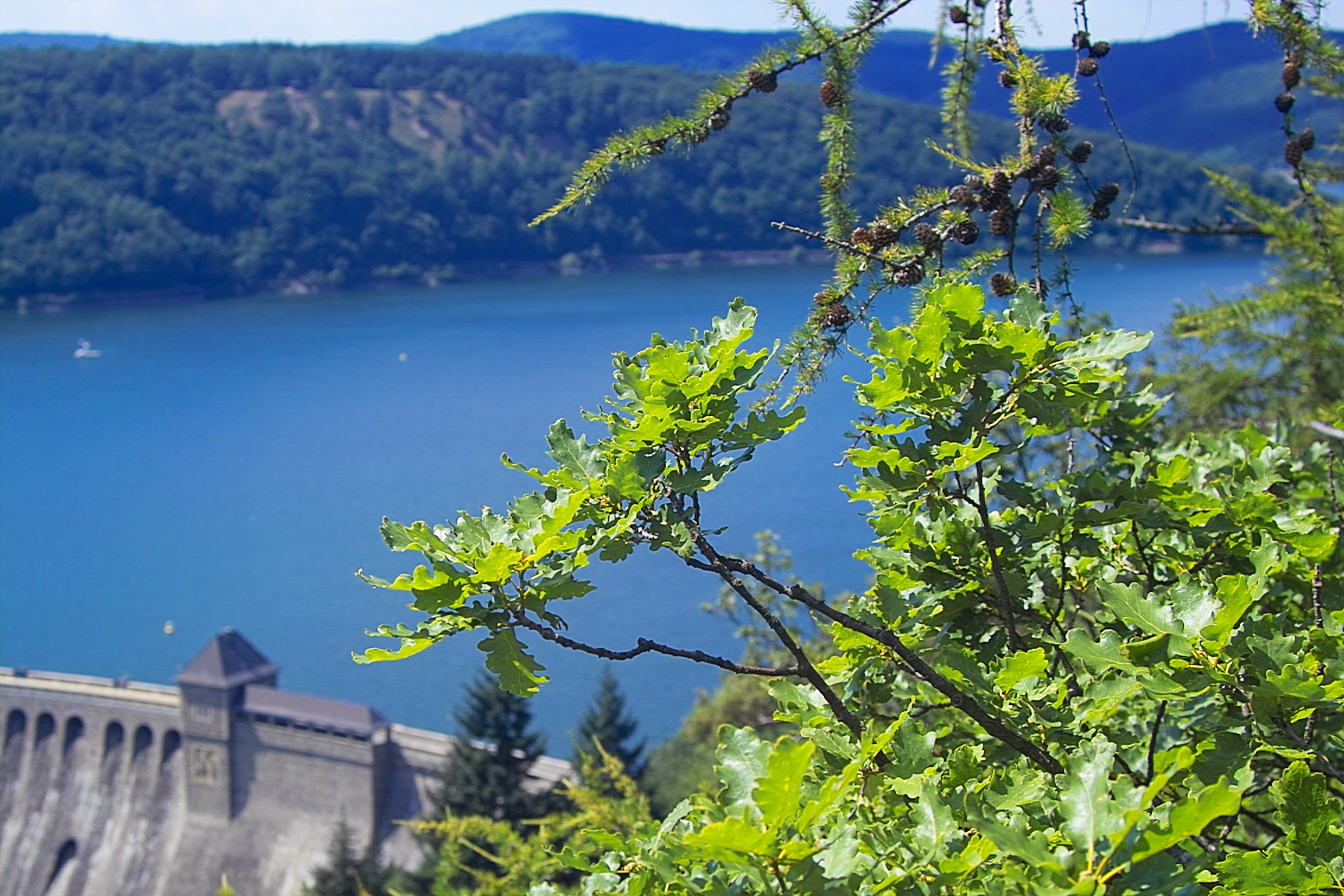 Ederseefotos 2005 img02305