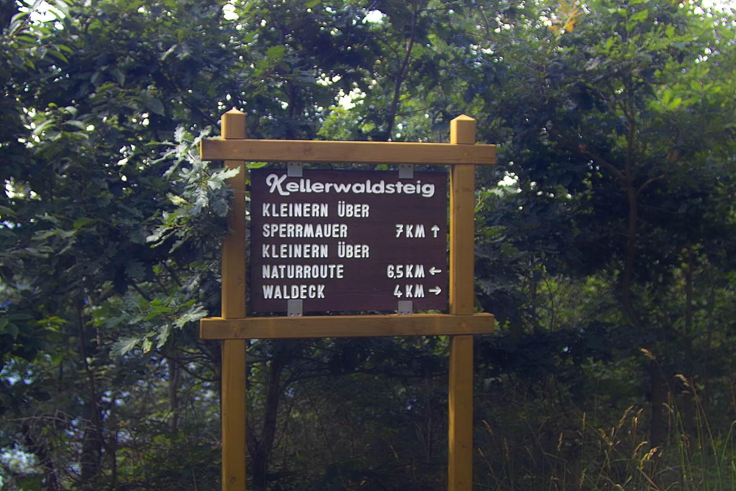 Ederseefotos 2005 img02307